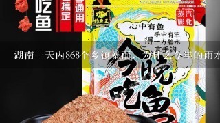 湖南1天内868个乡镇暴雨，为什么今年的雨水这么丰