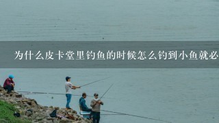 为什么皮卡堂里钓鱼的时候怎么钓到小鱼就必须要放生和卖掉呢