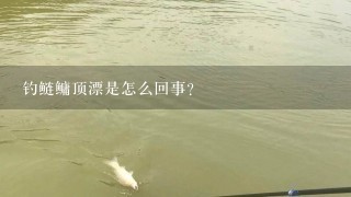 钓鲢鳙顶漂是怎么回事？