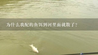 为什么我配的鱼饵到河里面就散了？