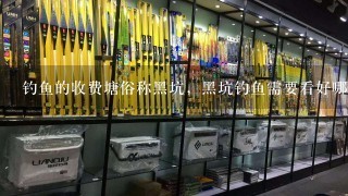 钓鱼的收费塘俗称黑坑，黑坑钓鱼需要看好哪4个方面