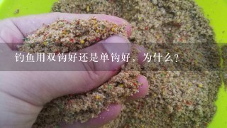 钓鱼用双钩好还是单钩好，为什么？