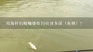 用海杆钓鲢鳙爆炸钓应该多深（鱼塘）？