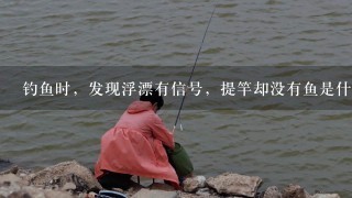 钓鱼时，发现浮漂有信号，提竿却没有鱼是什么原因造