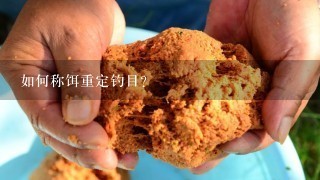 如何称饵重定钓目？