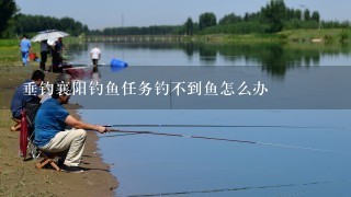 垂钓襄阳钓鱼任务钓不到鱼怎么办