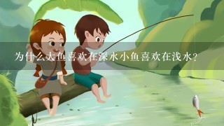 为什么大鱼喜欢在深水小鱼喜欢在浅水？