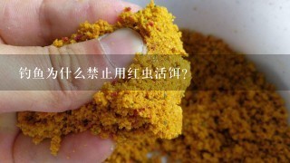 钓鱼为什么禁止用红虫活饵？