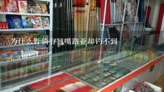 为什么野倘有翘嘴路亚却钓不到