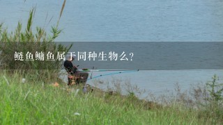 鲢鱼鳙鱼属于同种生物么？