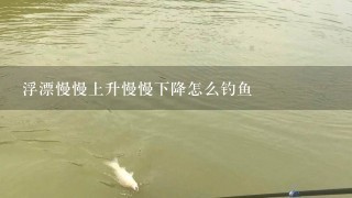 浮漂慢慢上升慢慢下降怎么钓鱼