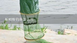 蚯蚓粉钓鱼怎么用