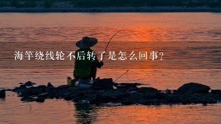 海竿绕线轮不后转了是怎么回事?