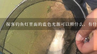 探客钓鱼灯里面的蓝色光源可以照什么，有什么作用，