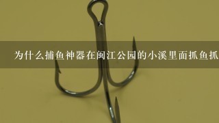 为什么捕鱼神器在闽江公园的小溪里面抓鱼抓不到鱼