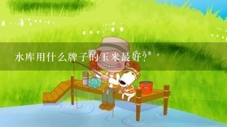 水库用什么牌子的玉米最好？