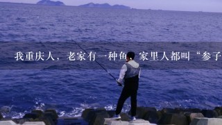 我重庆人，老家有1种鱼，家里人都叫“参子”，夏天