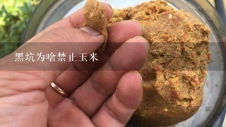 黑坑为啥禁止玉米