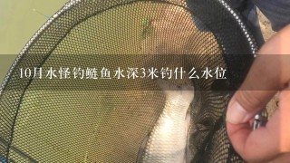 10月水怪钓鲢鱼水深3米钓什么水位