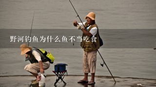 野河钓鱼为什么鱼不当吃食