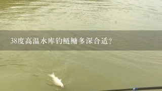 38度高温水库钓鲢鳙多深合适？