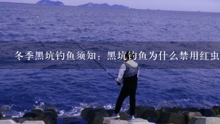 冬季黑坑钓鱼须知：黑坑钓鱼为什么禁用红虫