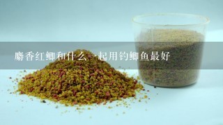 麝香红鲫和什么1起用钓鲫鱼最好