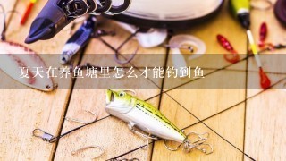 夏天在养鱼塘里怎么才能钓到鱼