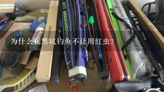 为什么在黑坑钓鱼不让用红虫？