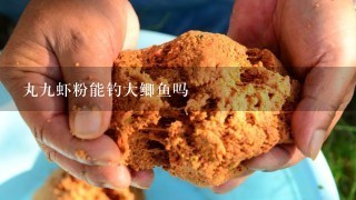 丸9虾粉能钓大鲫鱼吗