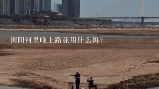 浏阳河里晚上路亚用什么饵？