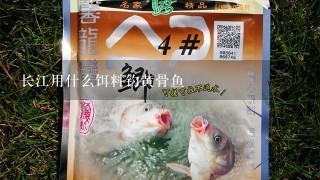 长江用什么饵料钓黄骨鱼