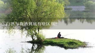 白酒与曲酒到底有啥区别？