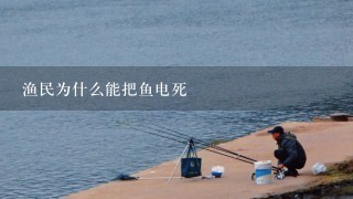 渔民为什么能把鱼电死
