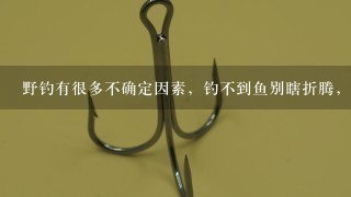 野钓有很多不确定因素，钓不到鱼别瞎折腾，窝里没鱼