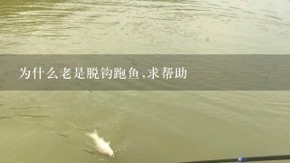 为什么老是脱钩跑鱼,求帮助