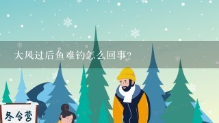 大风过后鱼难钓怎么回事？