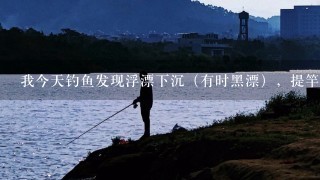 我今天钓鱼发现浮漂下沉（有时黑漂），提竿，但不见鱼上钩，请教高手是何原因？