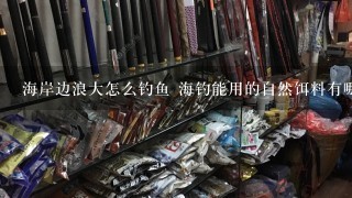 海岸边浪大怎么钓鱼 海钓能用的自然饵料有哪些？