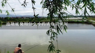 池塘底臭用什么小药诱鱼效果好