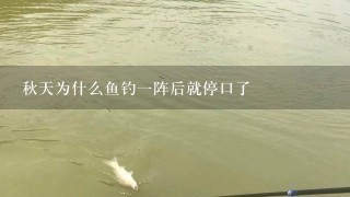 秋天为什么鱼钓1阵后就停口了