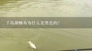 千岛湖鲫鱼为什么是黑色的?