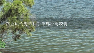 路亚矶钓海竿和手竿哪种比较贵