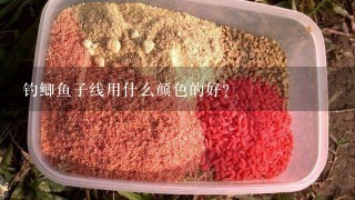 钓鲫鱼子线用什么颜色的好？