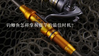 钓鲫鱼怎样掌握提竿的最佳时机？