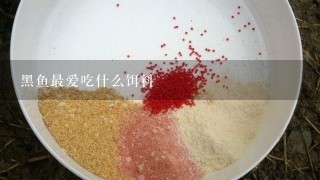 黑鱼最爱吃什么饵料