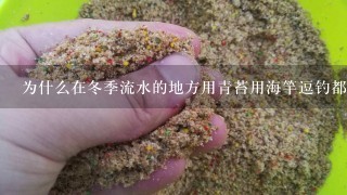 为什么在冬季流水的地方用青苔用海竿逗钓都能把草鱼