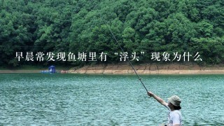 早晨常发现鱼塘里有“浮头”现象为什么