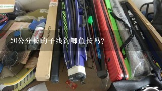 50公分长的子线钓鲫鱼长吗？