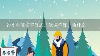 钓小鱼硬调竿好还是软调竿好，为什么